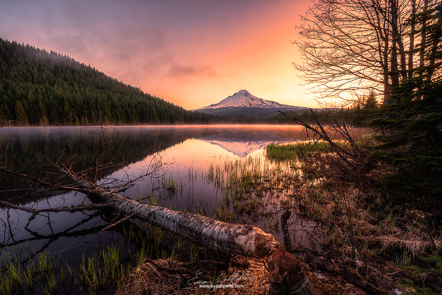 Eamon Gallagher on 500px