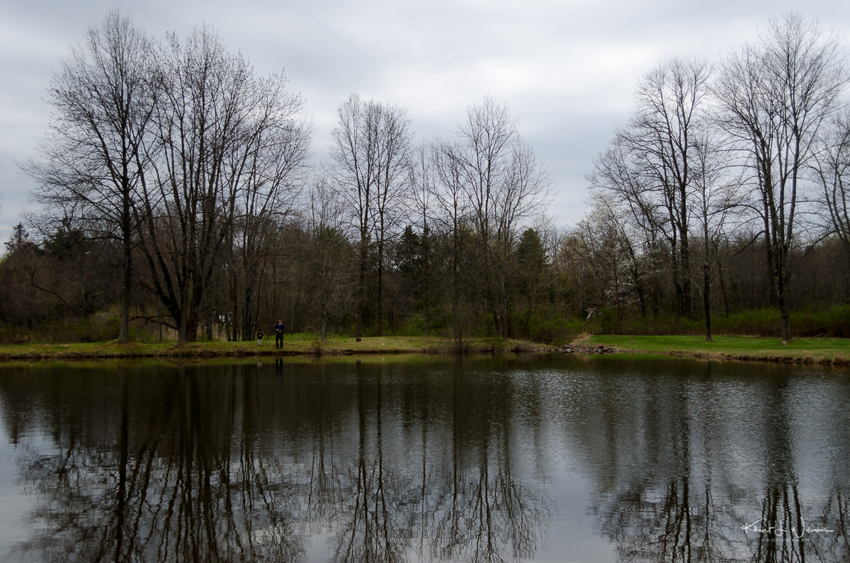 water, pond, trees, clouds