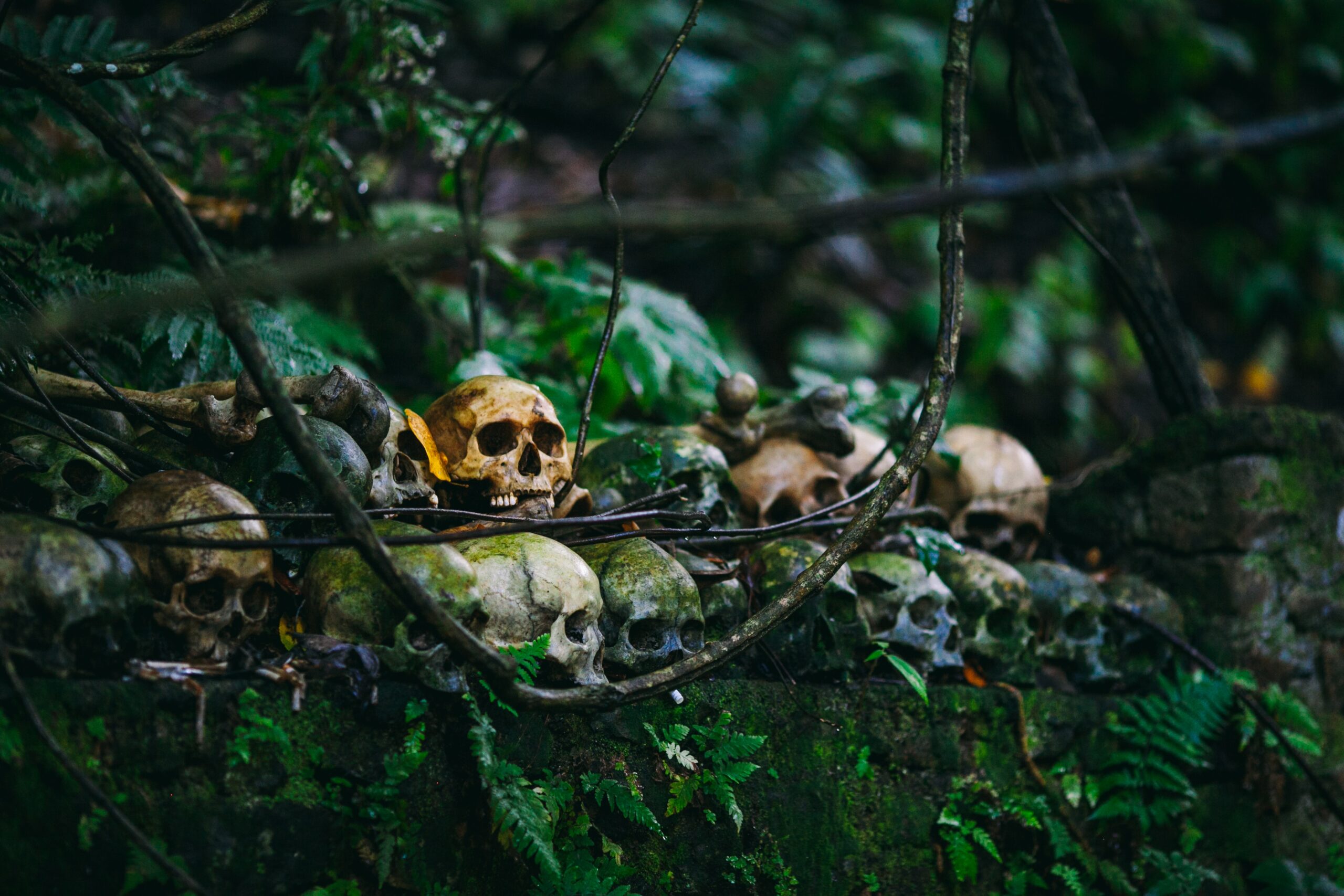 death, dead, skulls, forest, woods