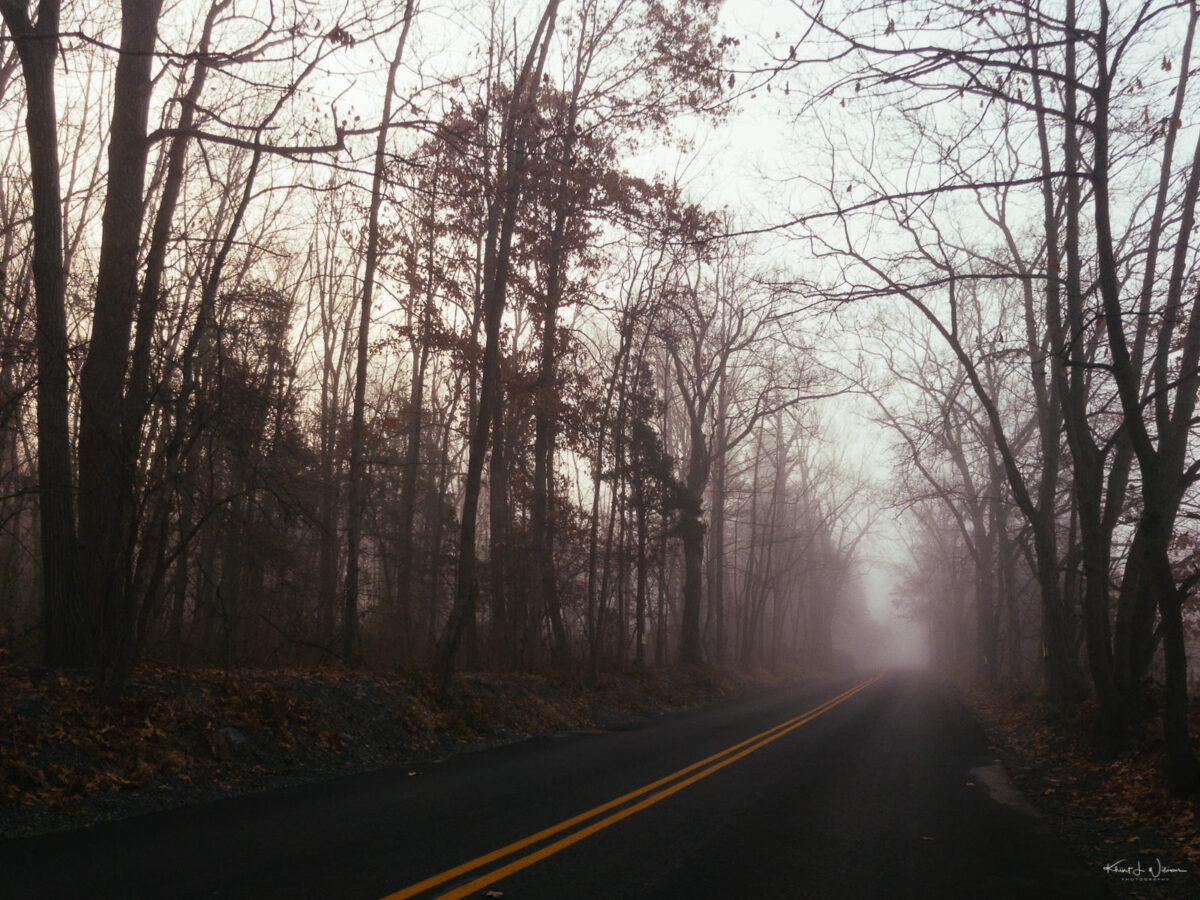 Fog, Road