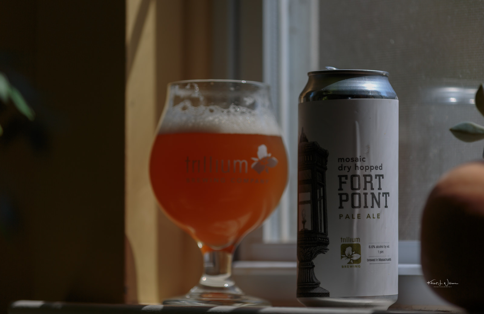 Trillium Brewing Company's Mosaic Dry Hopped Fort Point Pale Ale
