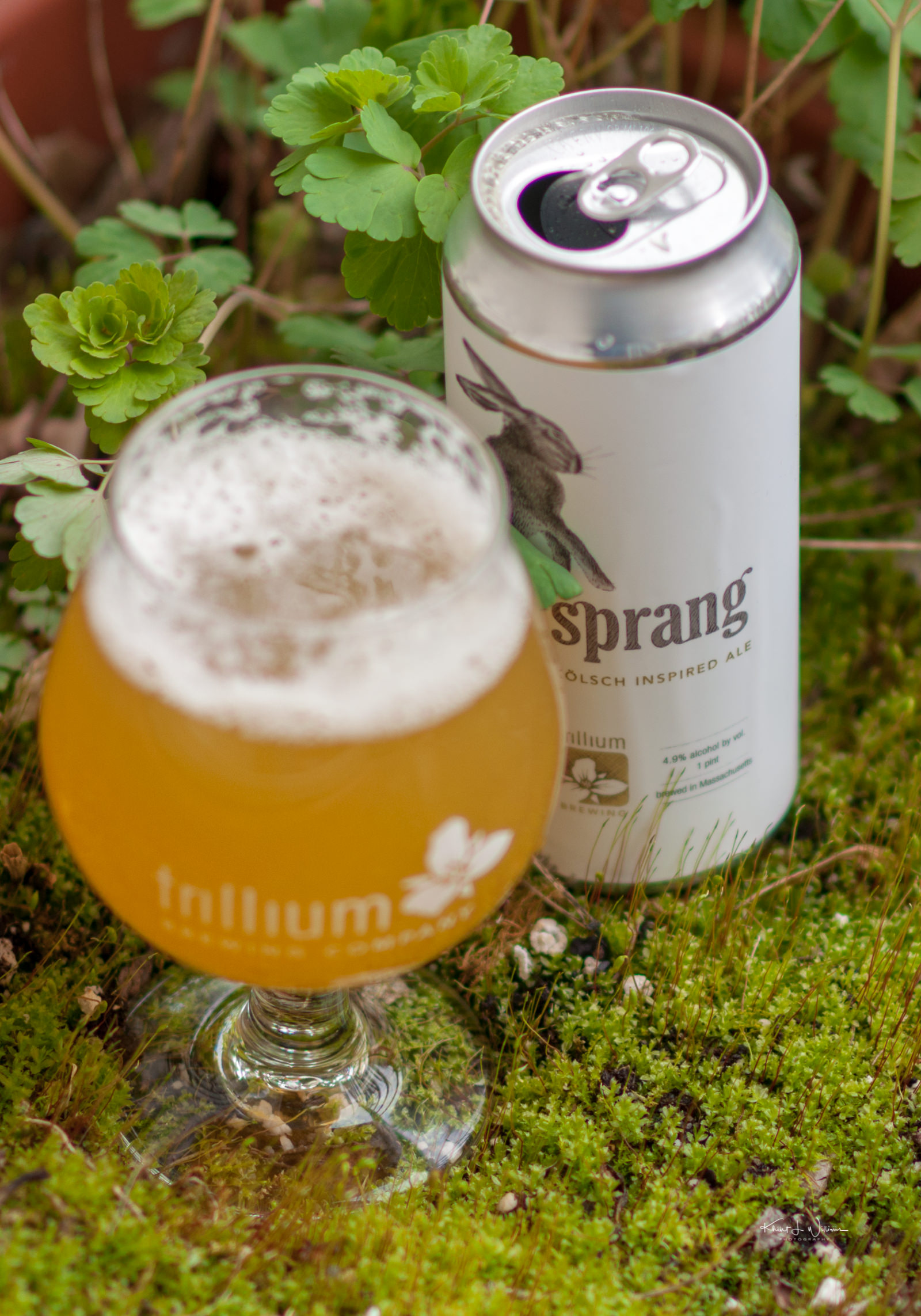 Trillium Brewing Company's Sprang