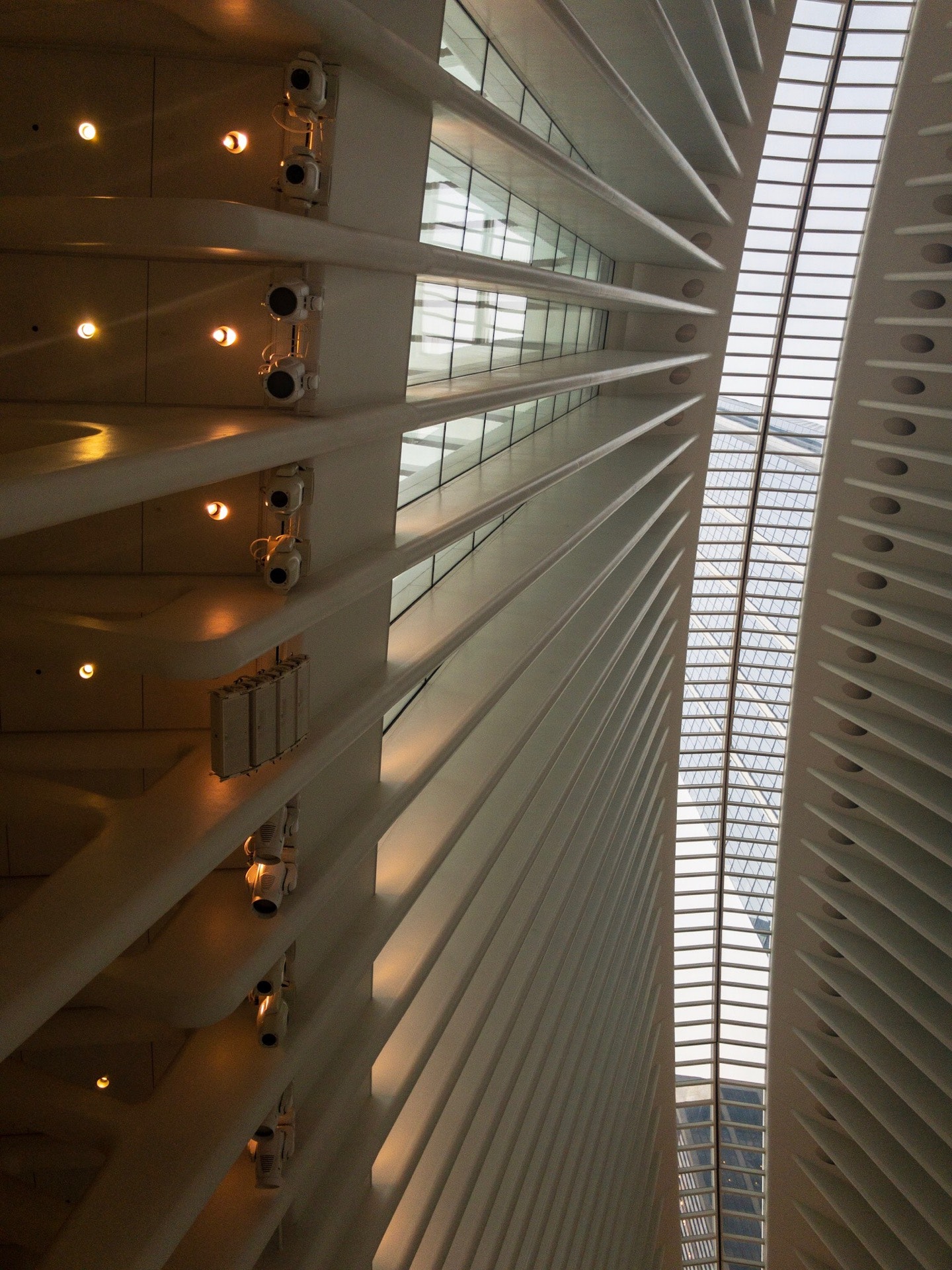 World Trade Center Transportation Hub ,The Oculus