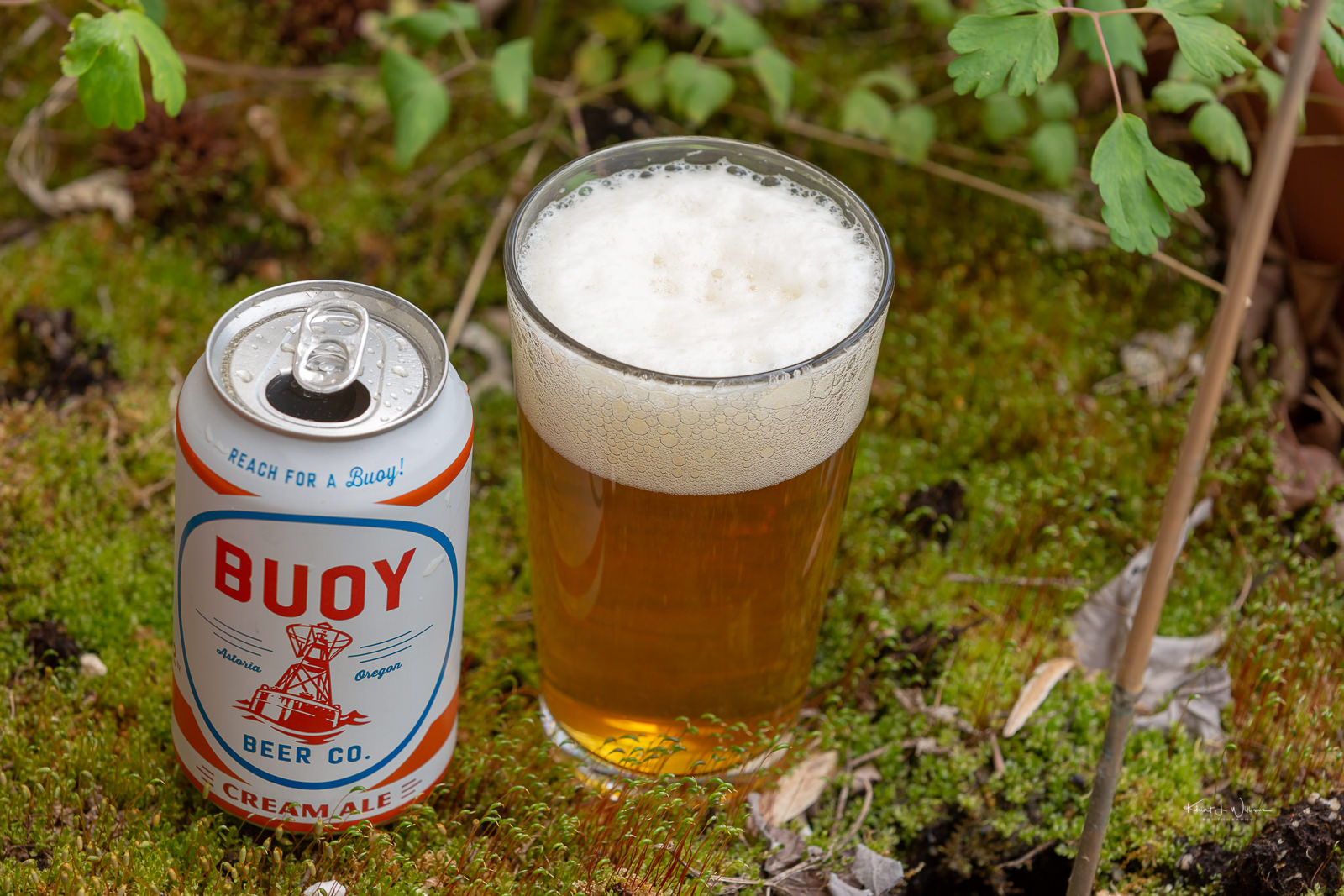 Buoy Beer Company's Cream Ale