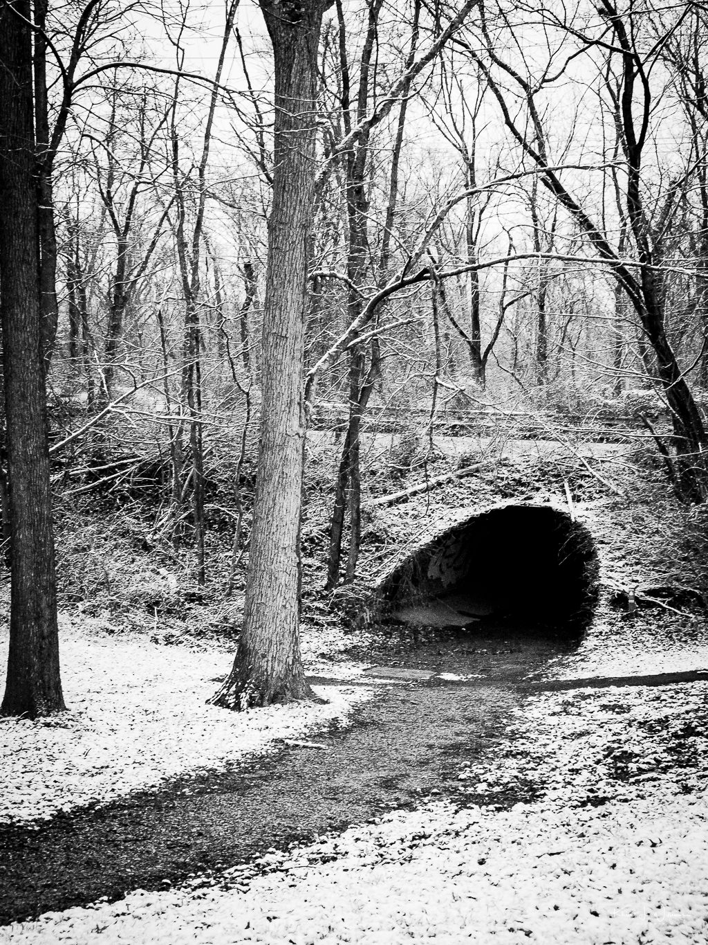 Pathway to a tunnel with snow all around