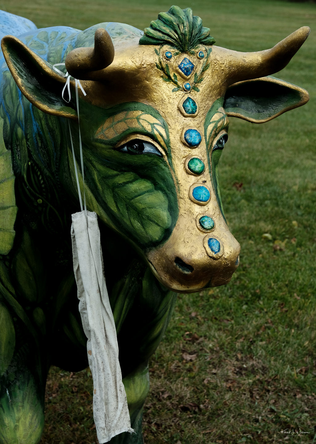 Wizard of Ox by Janet Keller Laughlin and Alissa Keller Laughlin