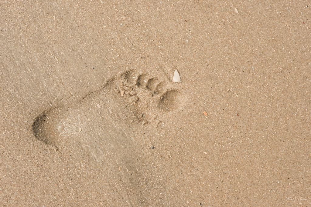 Foot print Beach Scene