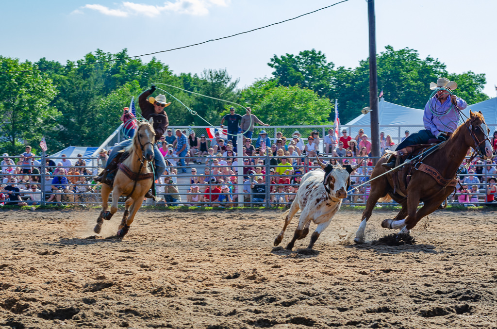 cowboys on horses roping bull