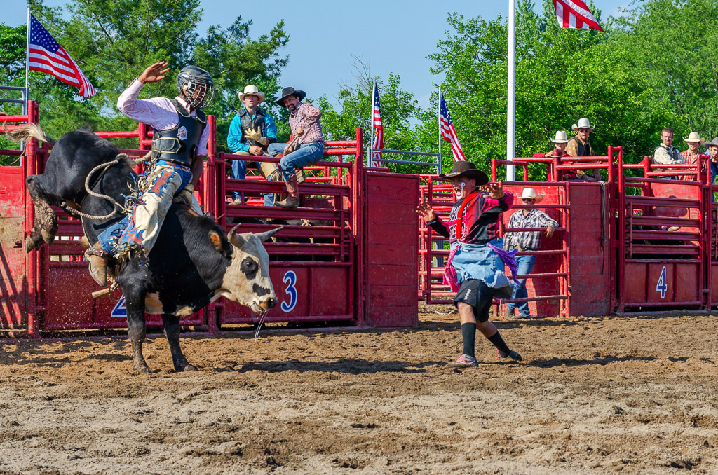 cowboy riding bull