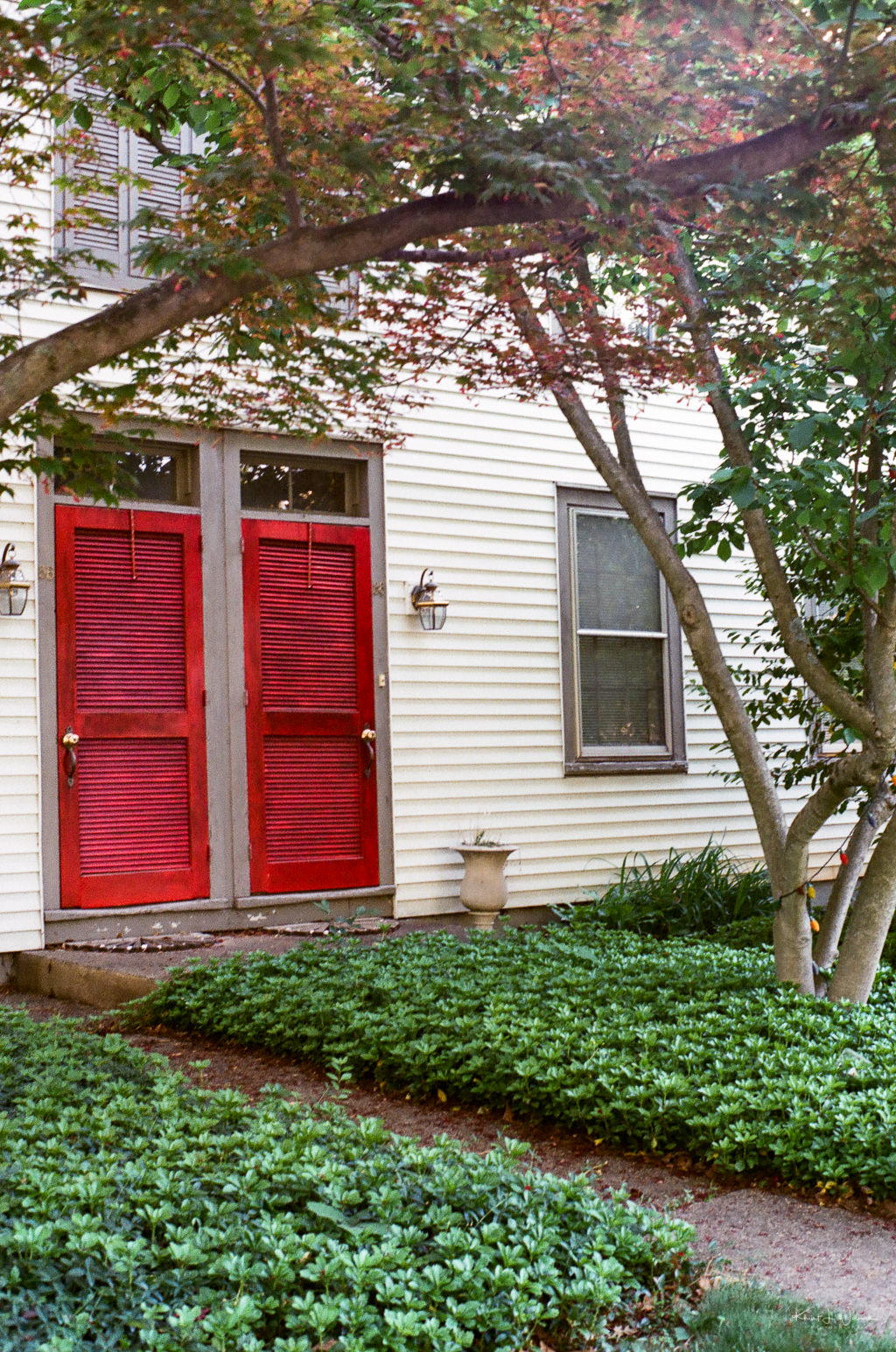 Red Doors, Rocky Hill