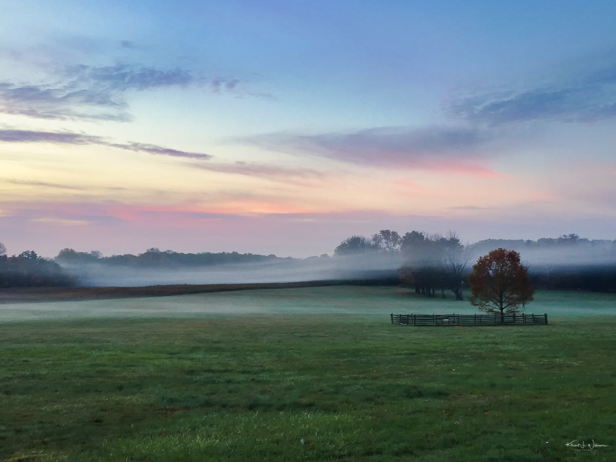 Princeton Battlefield State Park in the Fog