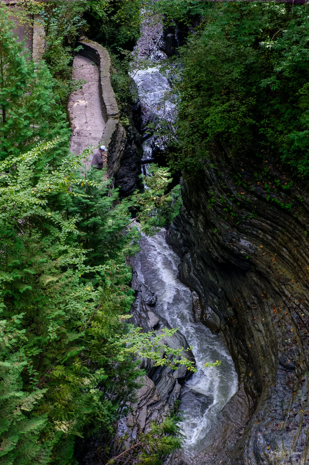 Watkins Glen Gorge Trail
