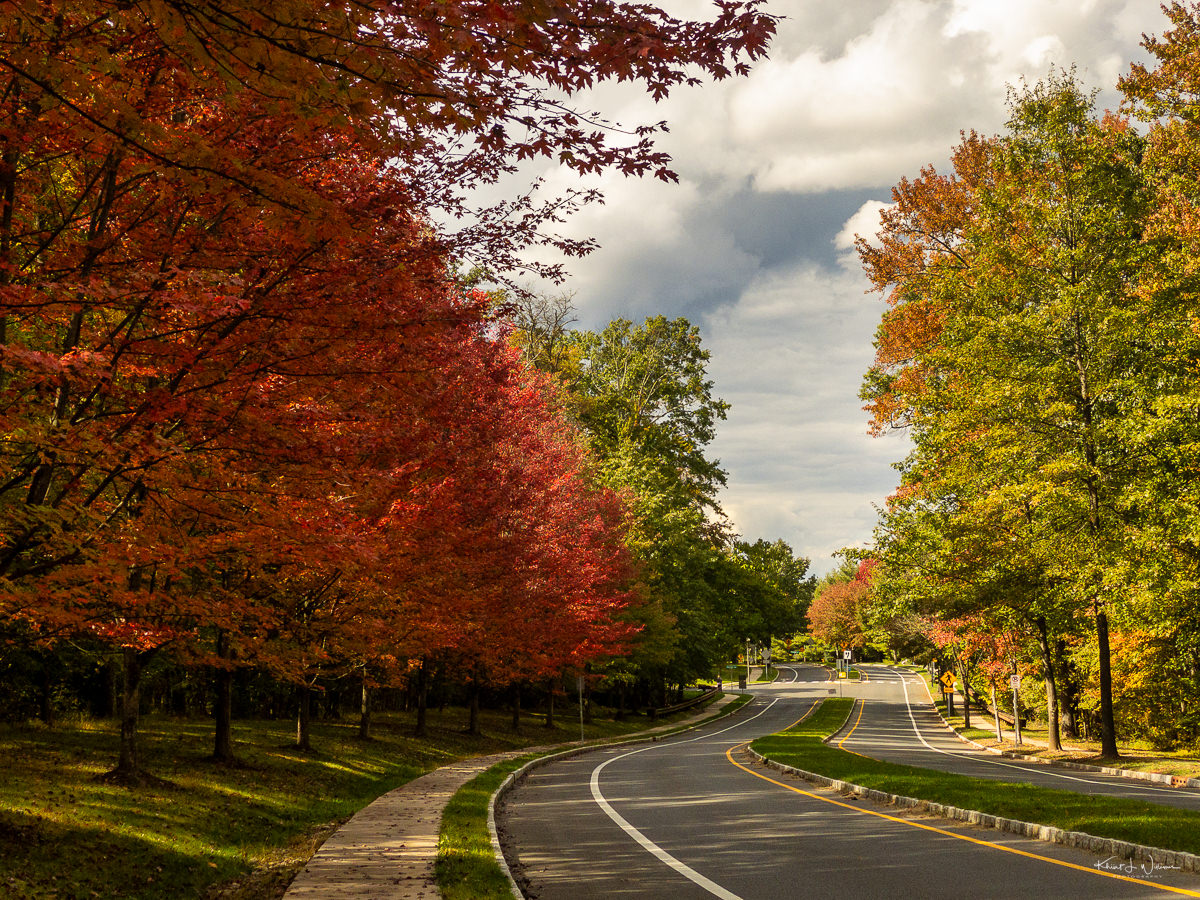 Blue Spring Road ,Maple Trees, Fall