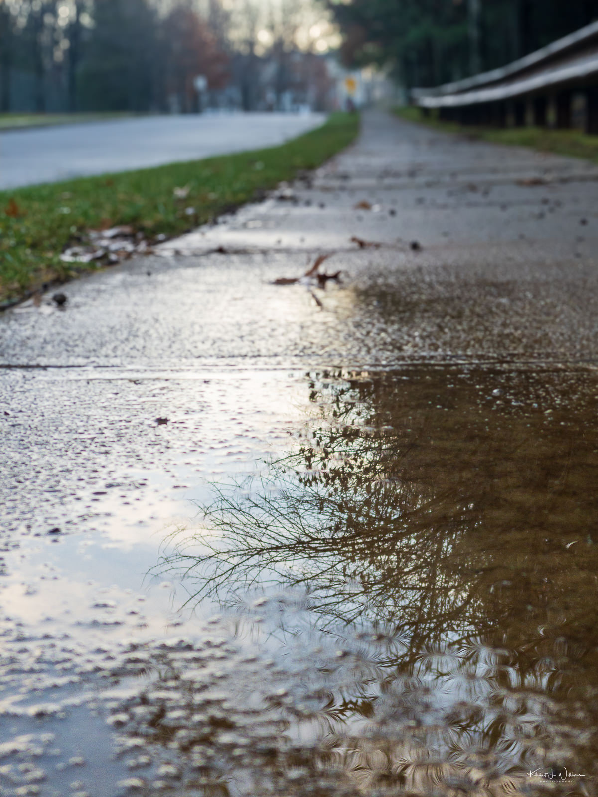 Sidewalk after a rain